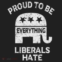 Republican Conservative Proud To Be Everything Liberals Hate Tumbler thumb 3