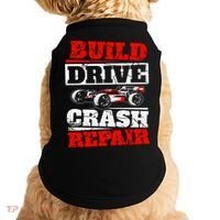 Rc Car Racing Build Drive Crash Repair Remote Control Buggy Gift Doggie Tank thumb 0