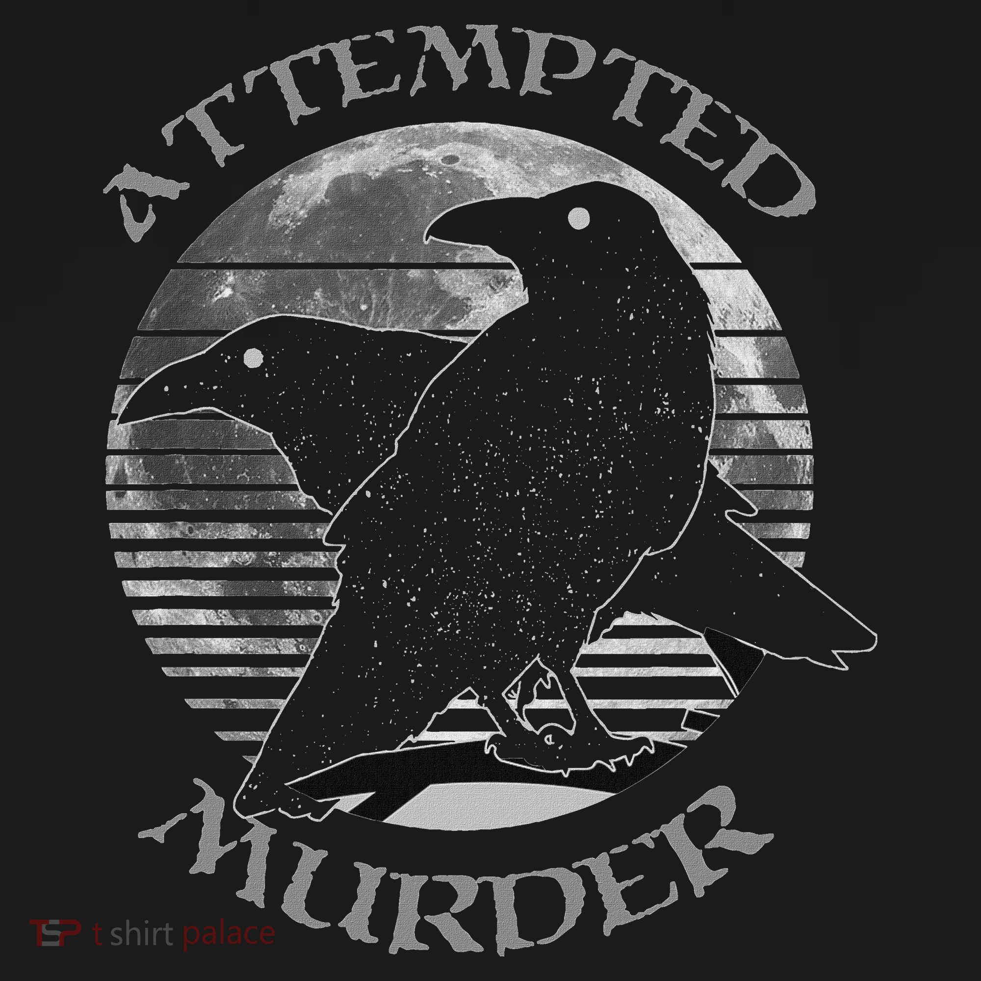 Raven Crow Retro Moon Attempted Murder Wiccan Pagan Apron