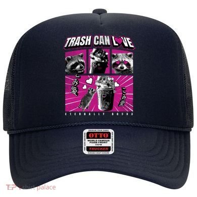 Raccoon Comic Hat