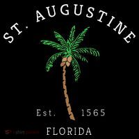 Retro Cool St. Augustine Florida Colorful Palm Tree Novelty T-Shirt thumb 7
