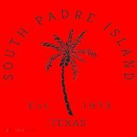 Retro Cool South Padre Island Original Texas Beach Palm Tree Santa Hat thumb 1