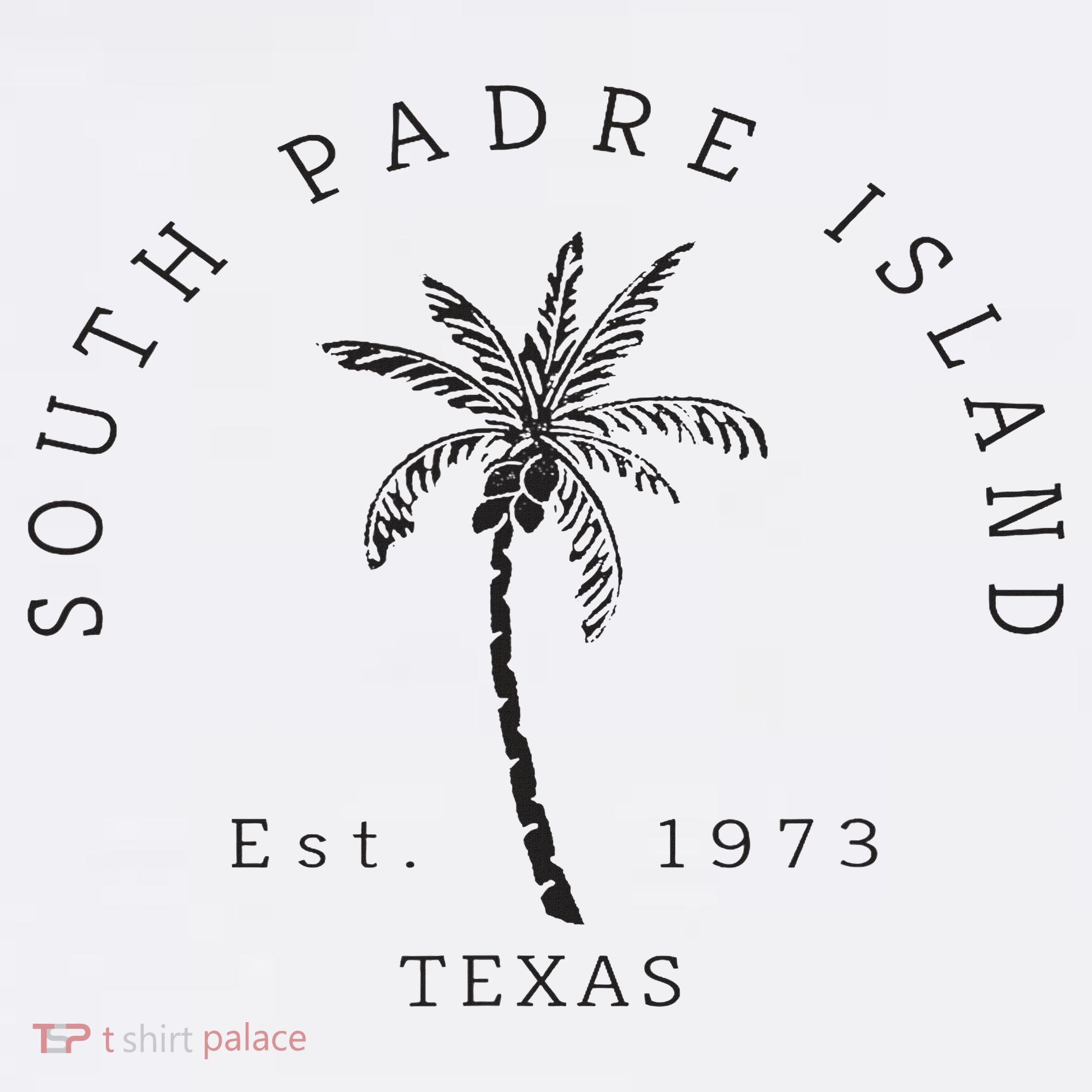 Retro Cool South Padre Island Original Texas Beach Palm Tree Beanie