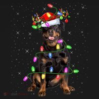Rottweiler Christmas Tree Light Pajama Dog Xmas Great Gift Women's Hoodie thumb 2