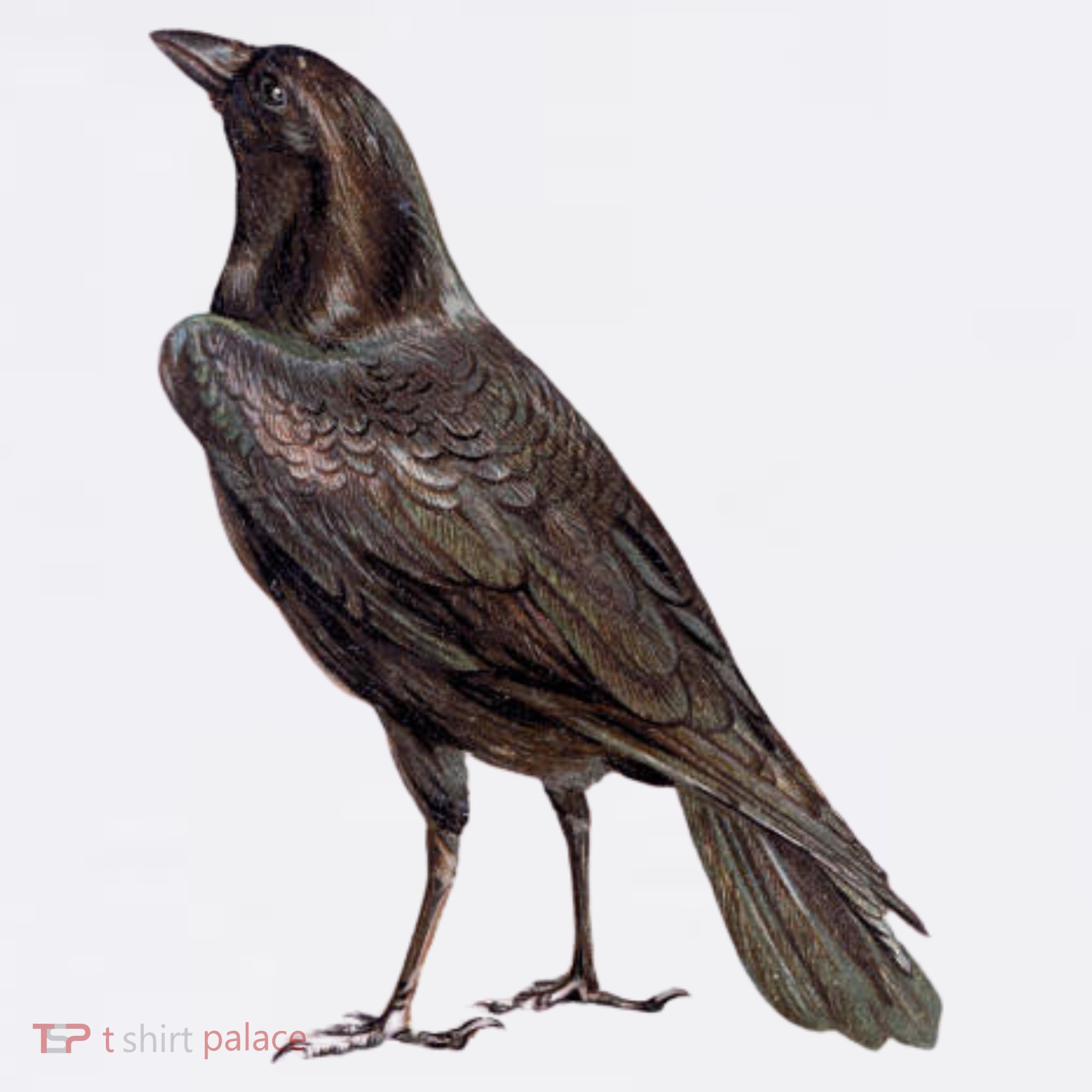 Raven Crow Vintage T-Shirt
