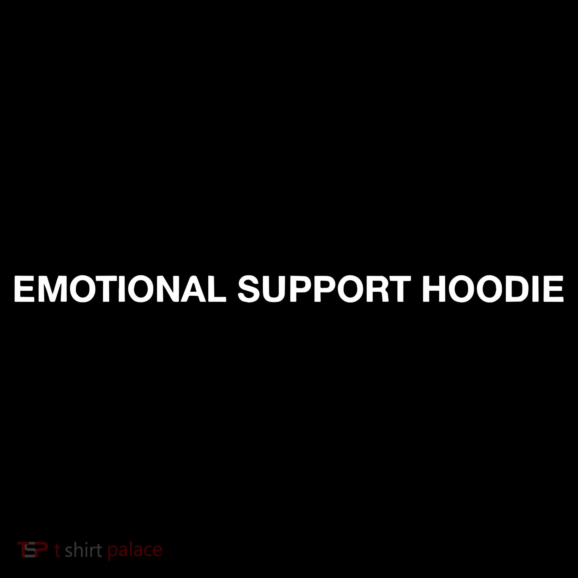 Ryan Clark Wearing Emotional Support Baby Bodysuit