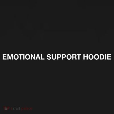 Ryan Clark Wearing Emotional Support Kids Sweatshirt