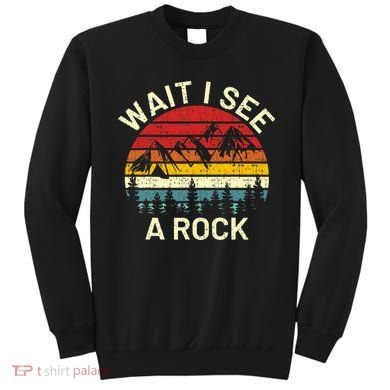 Retro Cool Wait I See A Rock Funny Geologist Science Geology Sweatshirt