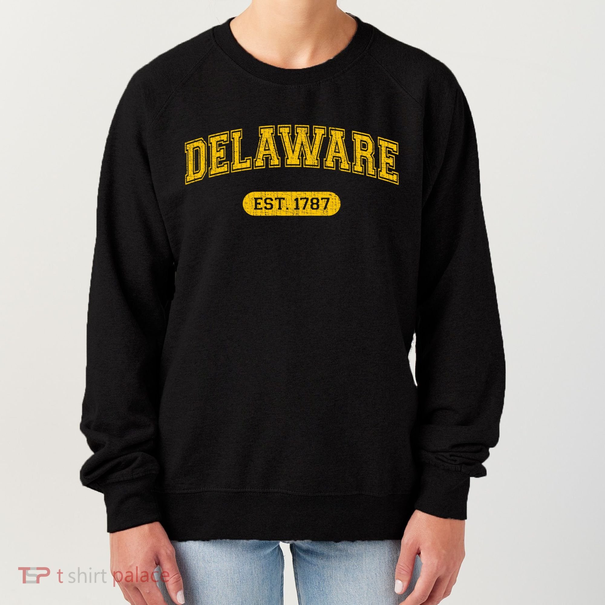 Retro Delaware 1787 Distressed Gift Women's Sweatshirt