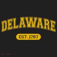 Retro Delaware 1787 Distressed Gift Beanie thumb 2