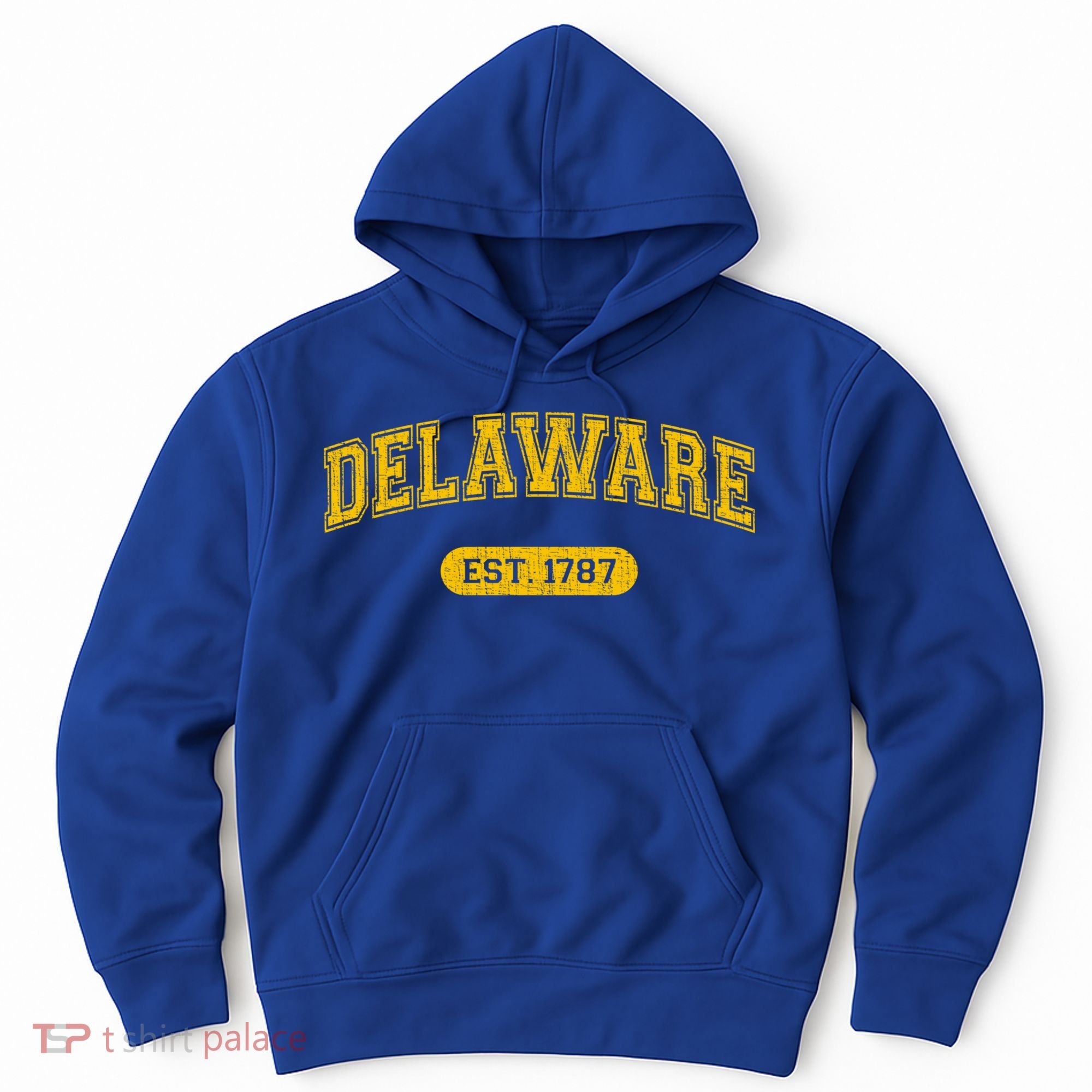 Retro Delaware 1787 Distressed Gift Hoodie