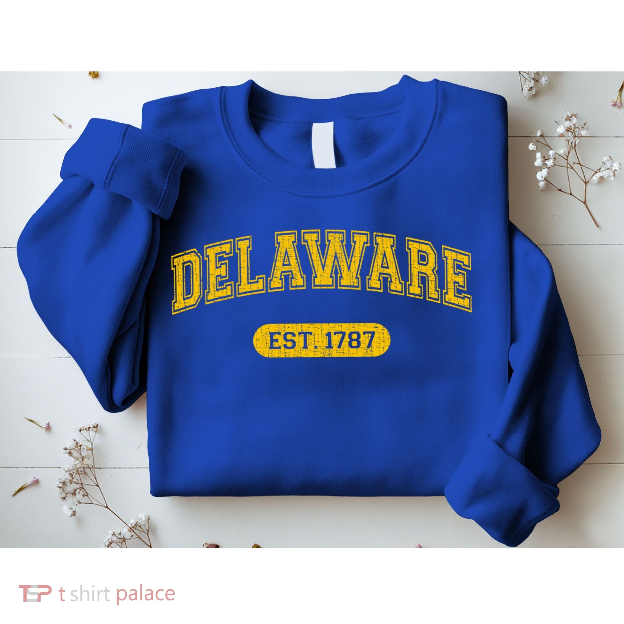 Retro Delaware 1787 Distressed Gift Sweatshirt