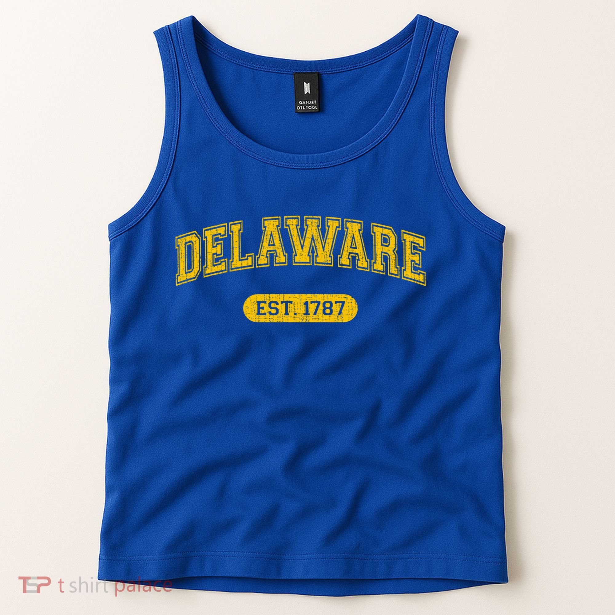 Retro Delaware 1787 Distressed Gift Tank Top