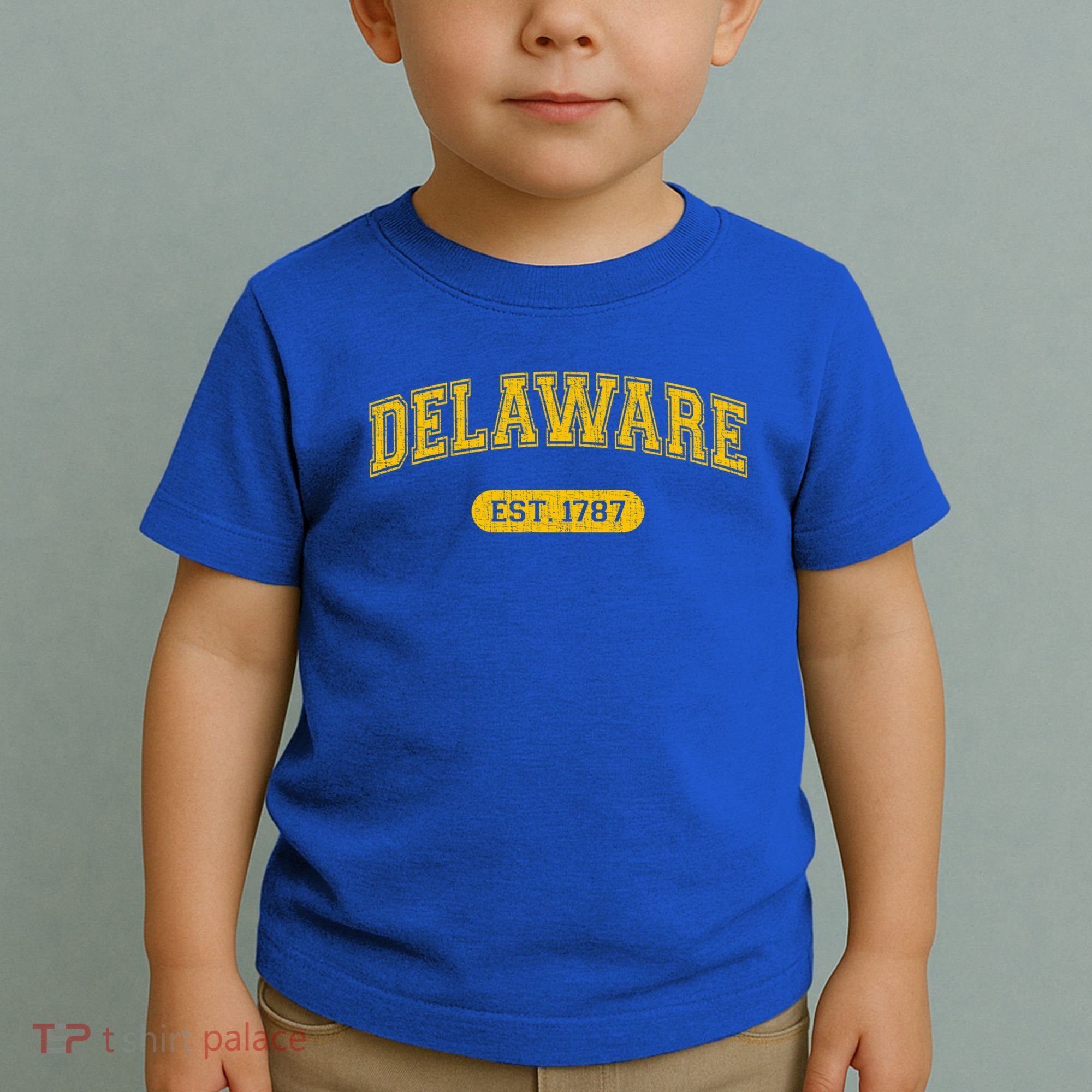 Retro Delaware 1787 Distressed Gift Toddler T-Shirt