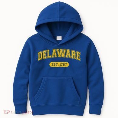 Retro Delaware 1787 Distressed Gift Kids Hoodie