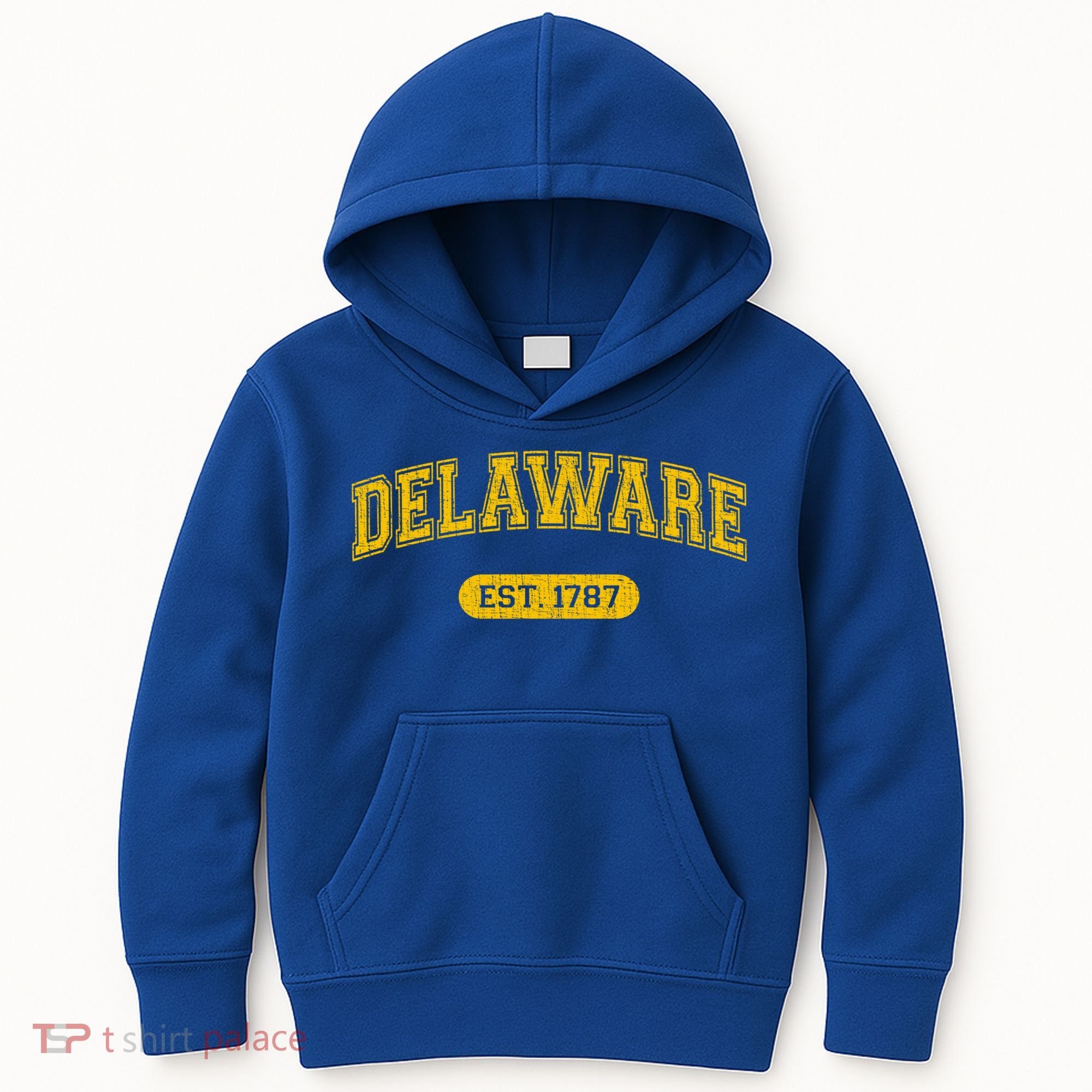 Retro Delaware 1787 Distressed Gift Kids Hoodie