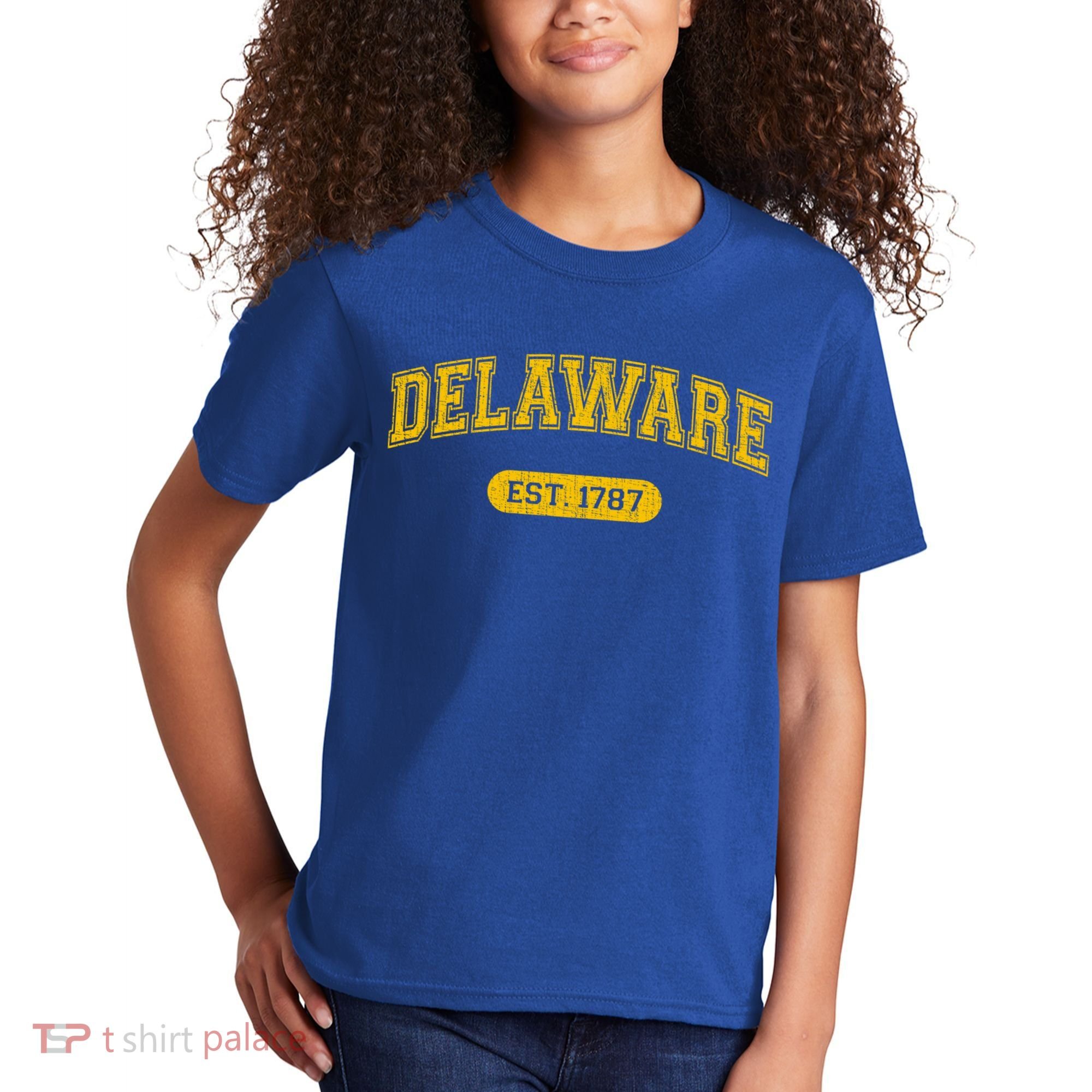 Retro Delaware 1787 Distressed Gift Kids T-Shirt