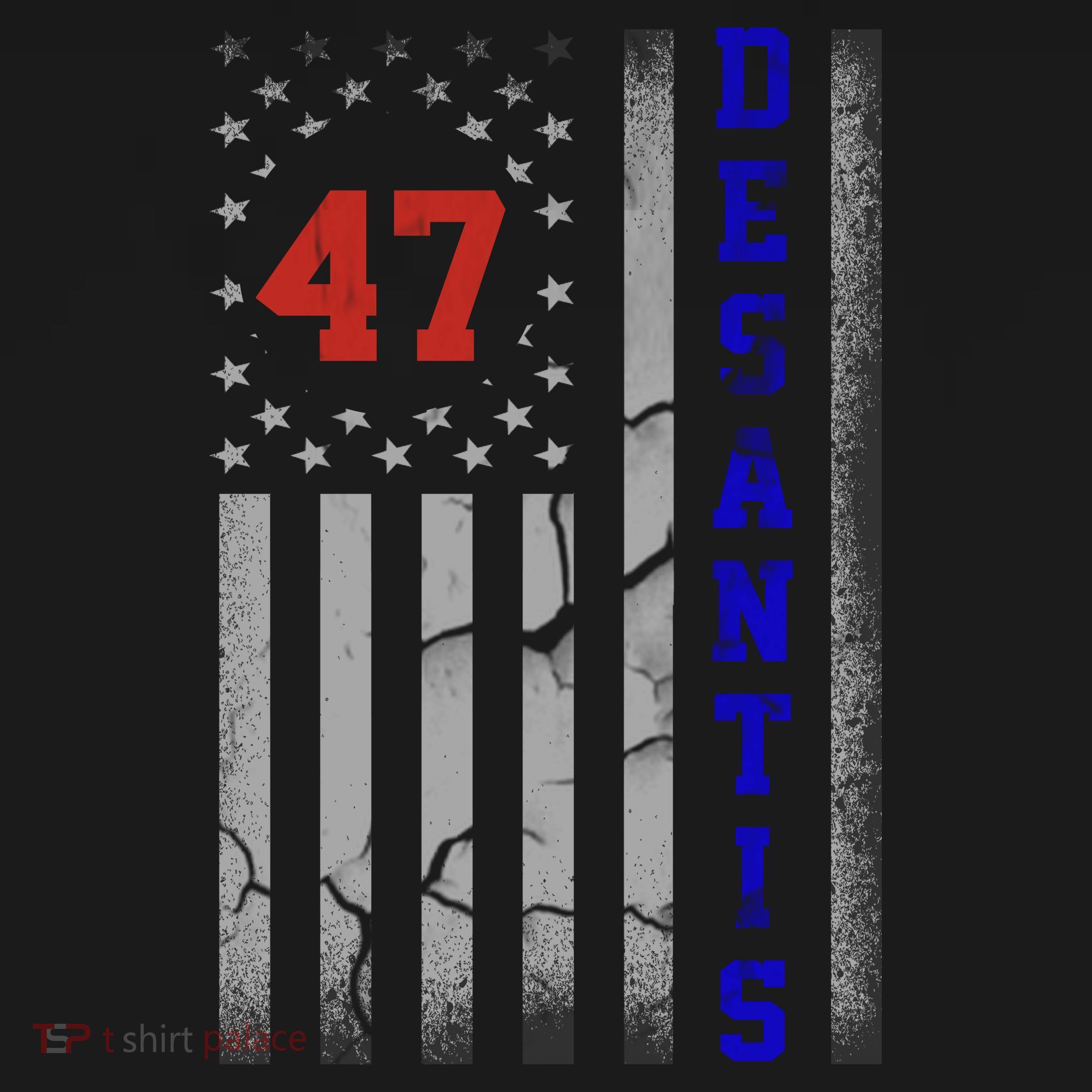 Ron Desantis 2024 American Flag Vintage Faded Distressed T-Shirt