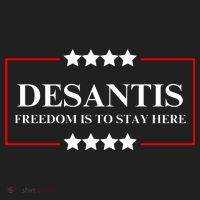 Ron DeSantis 2028 Presidential Election 2028 Freedom Women's Sweatshirt thumb 2