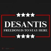 Ron DeSantis 2028 Presidential Election 2028 Freedom Women's Hoodie thumb 2
