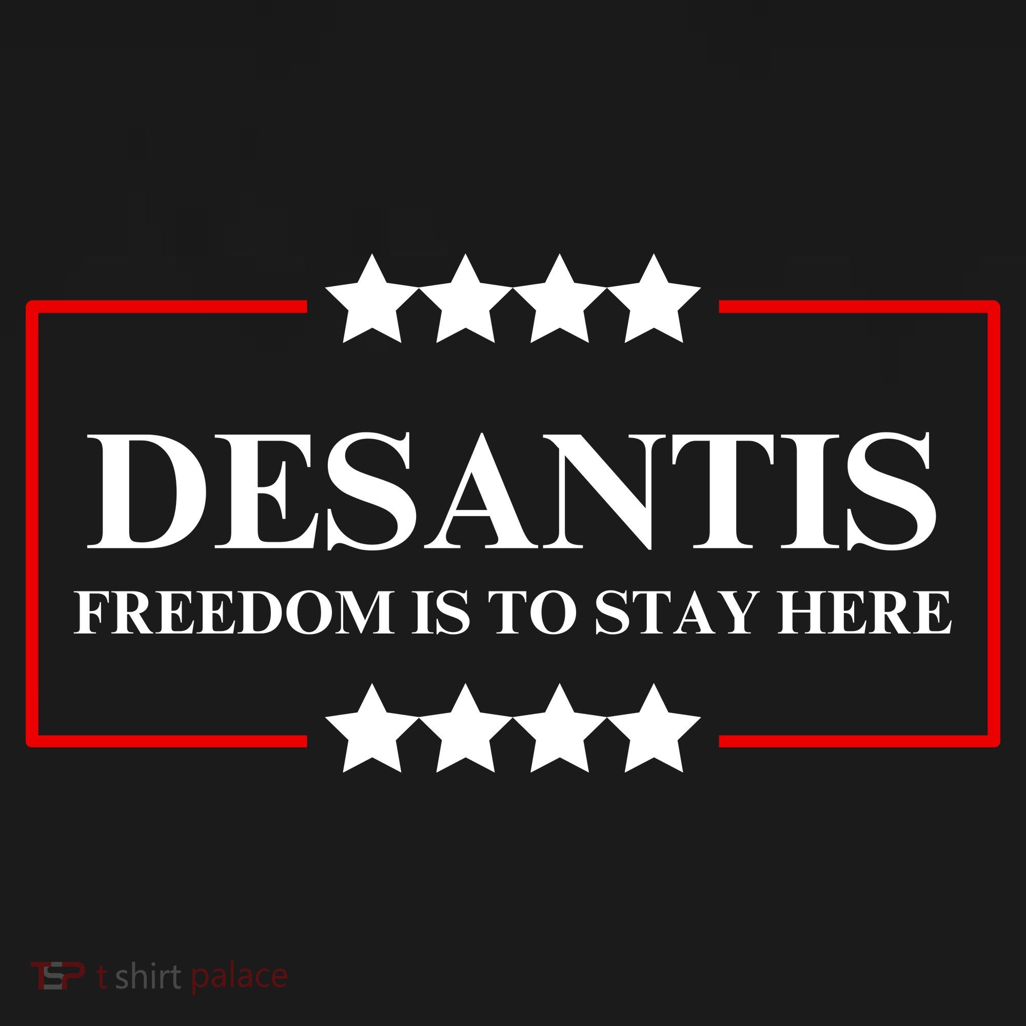 Ron DeSantis 2028 Presidential Election 2028 Freedom Women's Hoodie