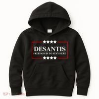 Ron DeSantis 2028 Presidential Election 2028 Freedom Kids Hoodie thumb 0