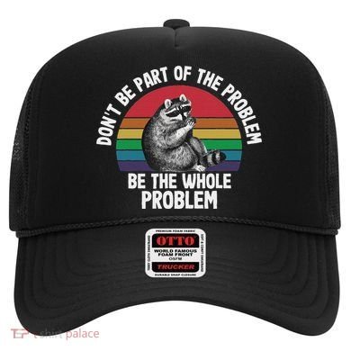 Racoon DonT Be Part Of The Problem Be The Whole Problem Hat