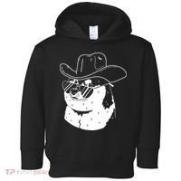 Rodeo Doge Funny Dogecoin Toddler Hoodie thumb 0