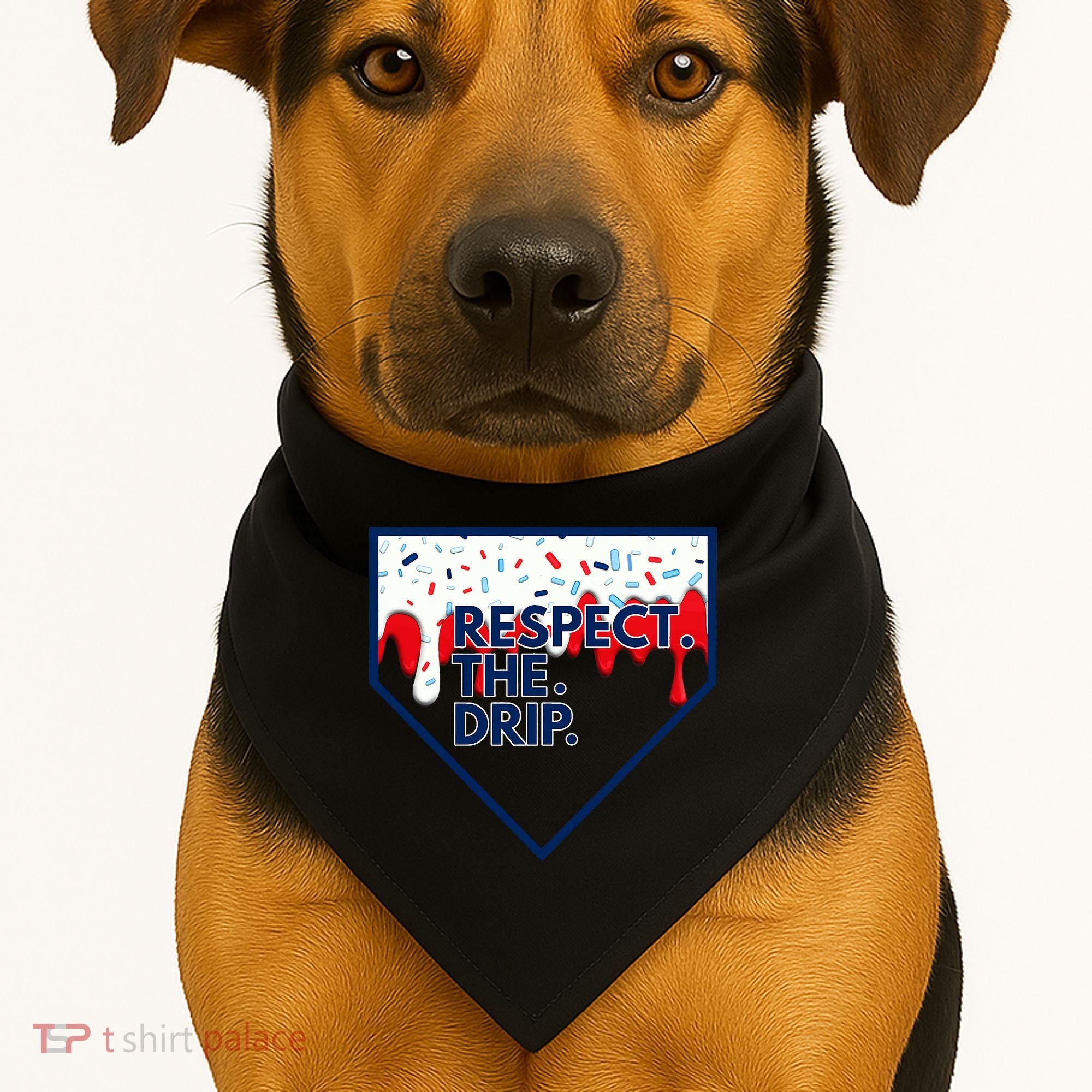 Respect Drip For Ice Cream Spinkle USA-Made Doggie Bandana