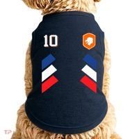 Retro10 Dutch Football Netherlands Soccer Netherlands Flag Doggie Tank thumb 0