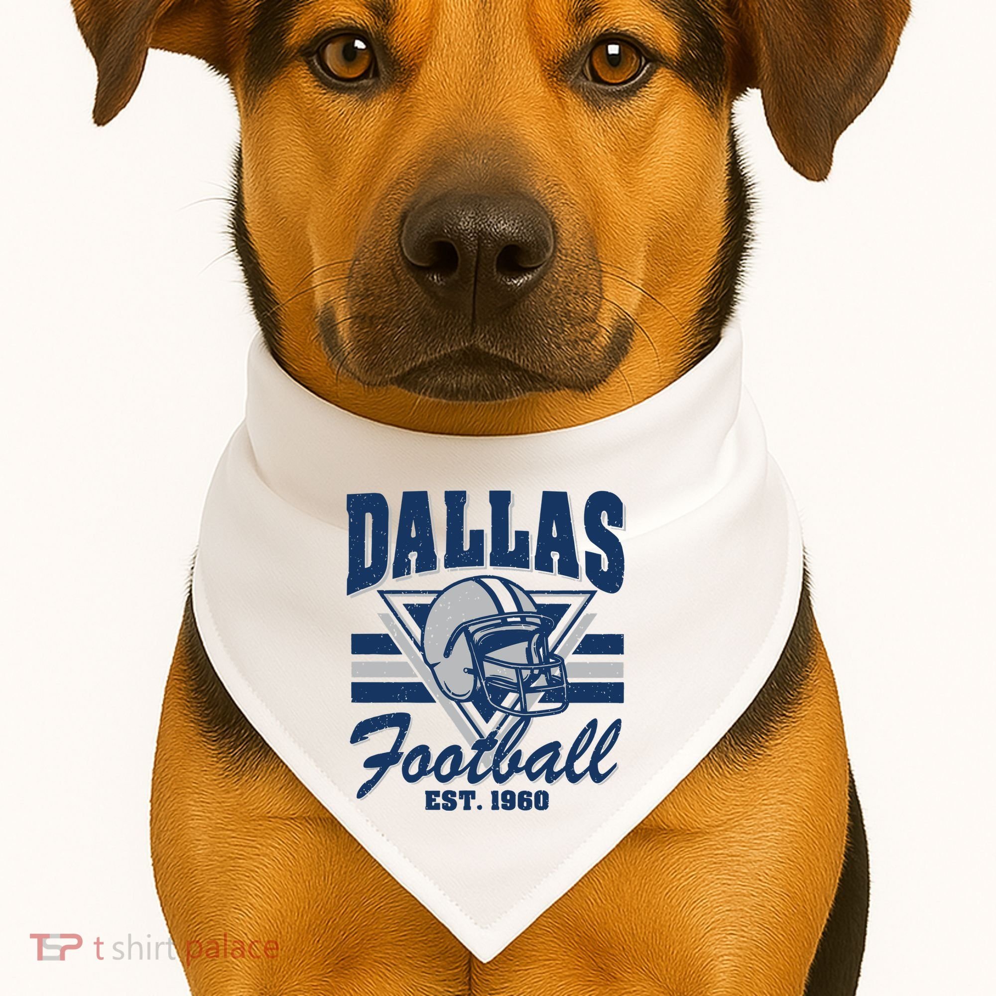 Retro Dallas Football USA-Made Doggie Bandana