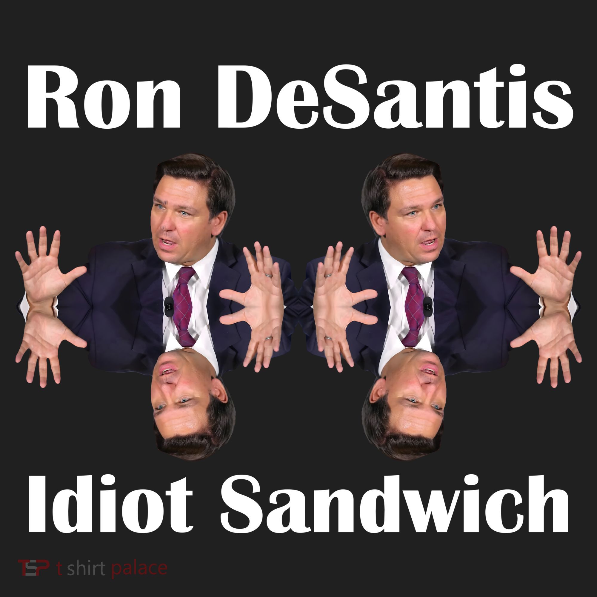 Ron Desantis Idiot Sandwich Florida Governor Beanie