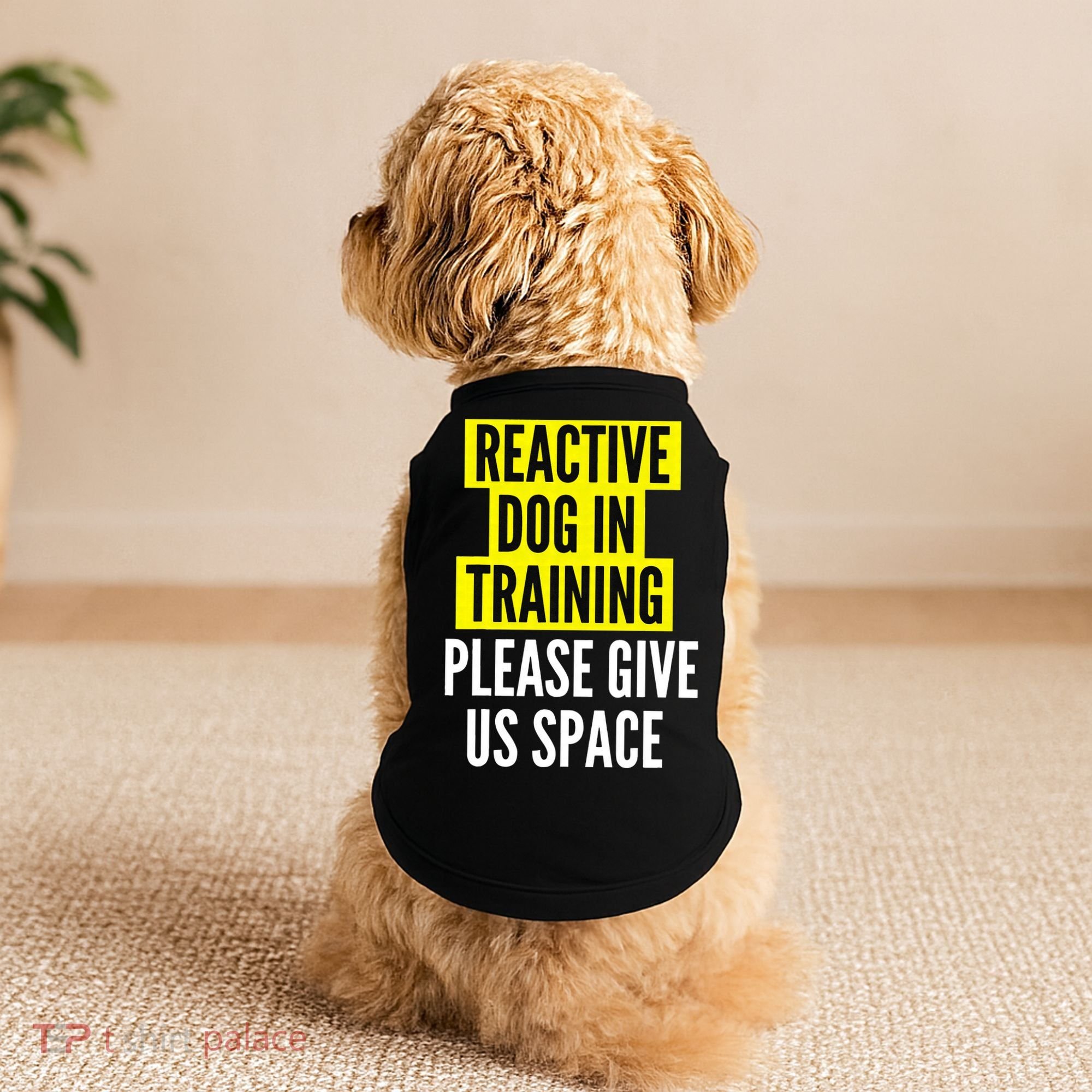 Reactive Dog In Training & Nervous Dog Owners BOTH SIDES Doggie Tank