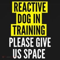 Reactive Dog In Training & Nervous Dog Owners BOTH SIDES Button thumb 1