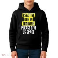 Reactive Dog In Training & Nervous Dog Owners BOTH SIDES Kids Hoodie thumb 4