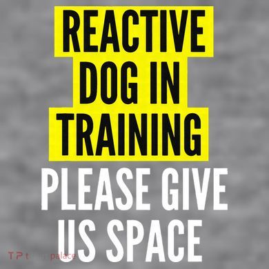 Reactive Dog In Training & Nervous Dog Owners BOTH SIDES Women's Racerback Cropped Tank