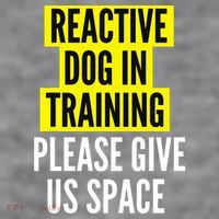 Reactive Dog In Training & Nervous Dog Owners BOTH SIDES Women's Racerback Cropped Tank thumb 2