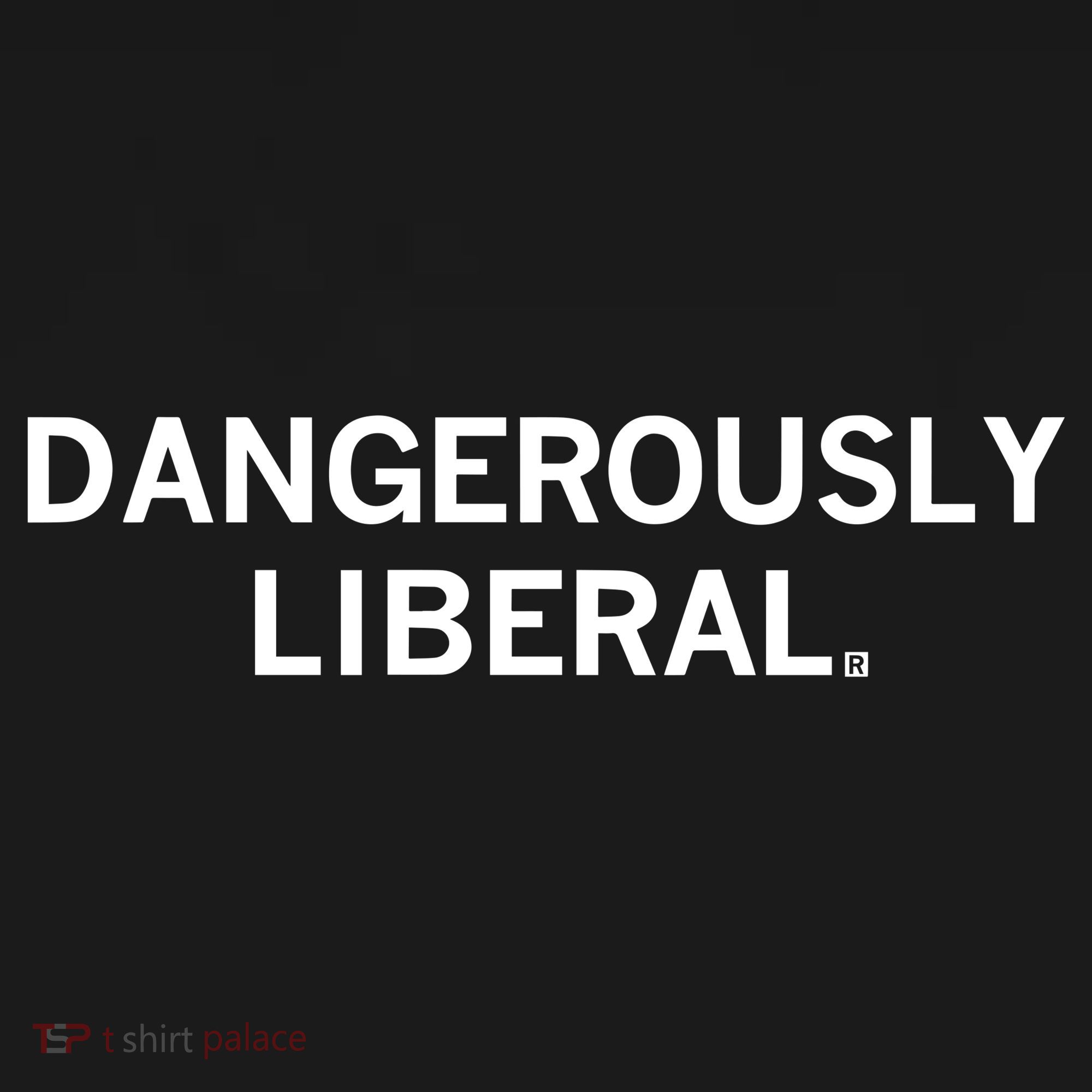 Raygun Dangerously Liberal Tall Sweatshirt