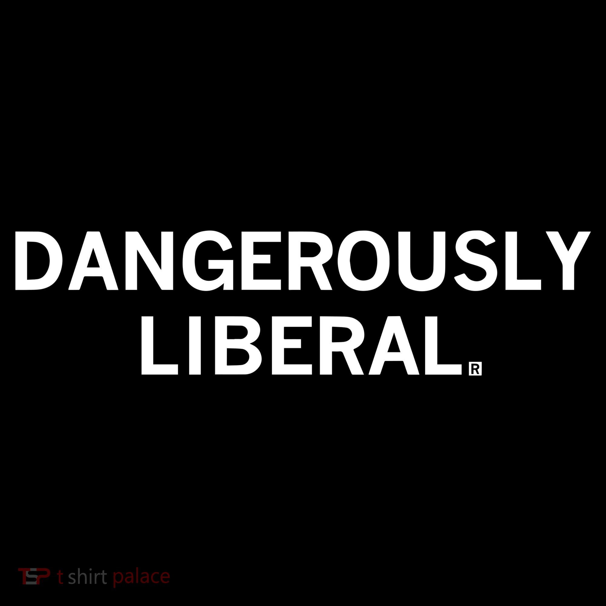 Raygun Dangerously Liberal Kids Hoodie