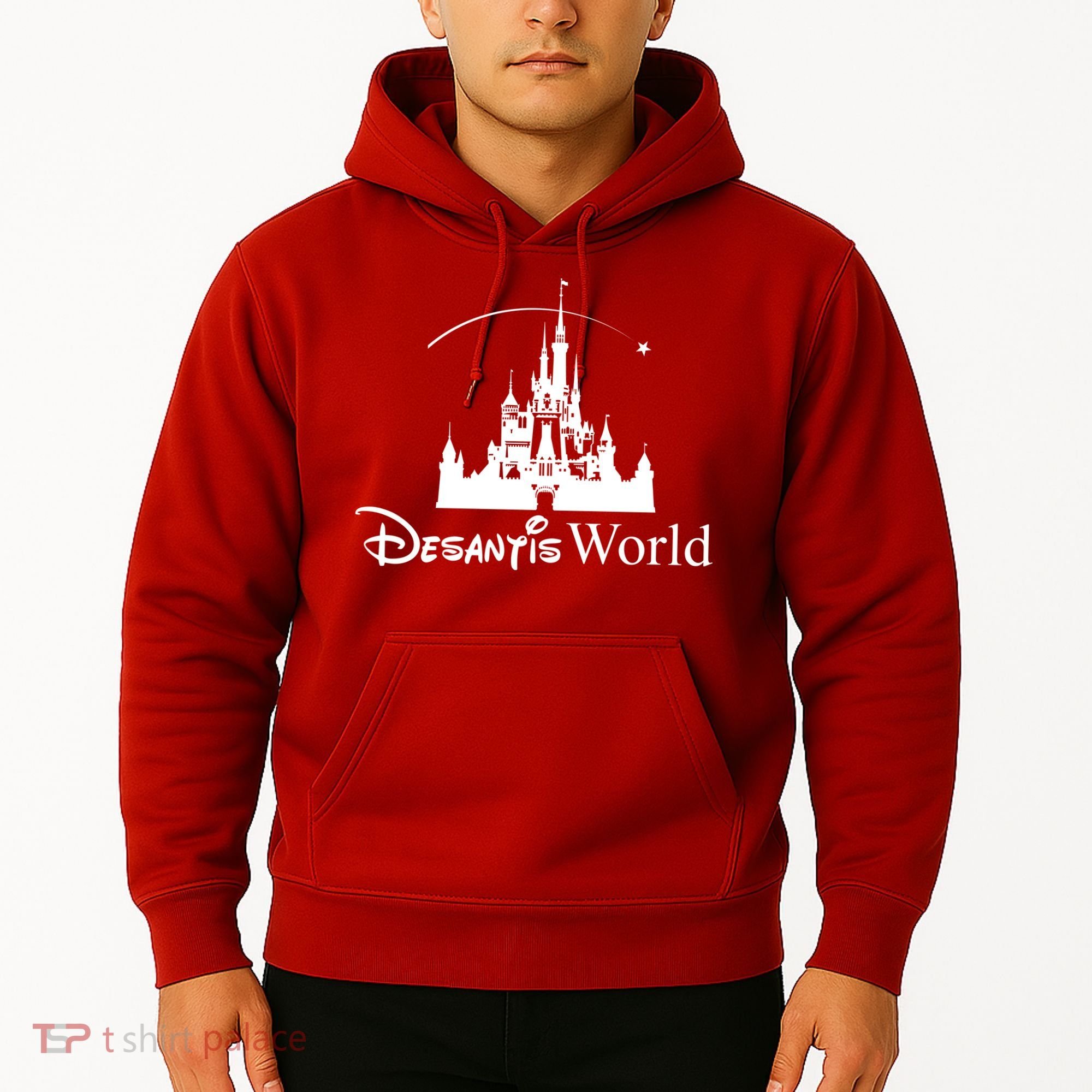 Ron Desantis Magic World Hoodie
