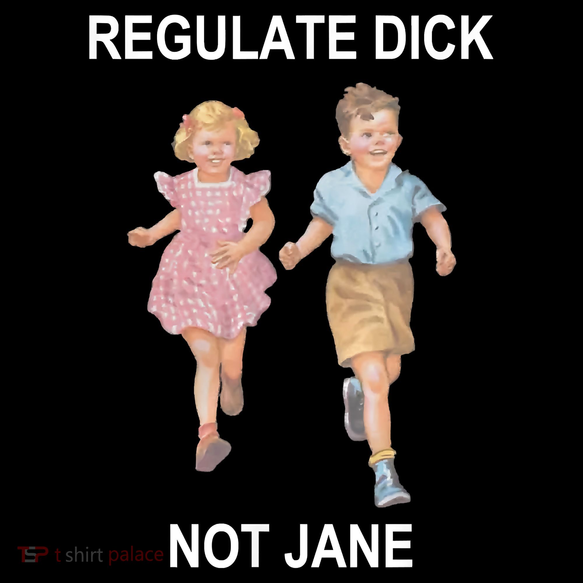 Regulate Dick Not Jane Bucket Hat