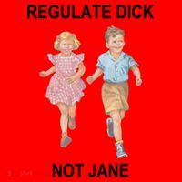 Regulate Dick Not Jane Santa Hat thumb 1