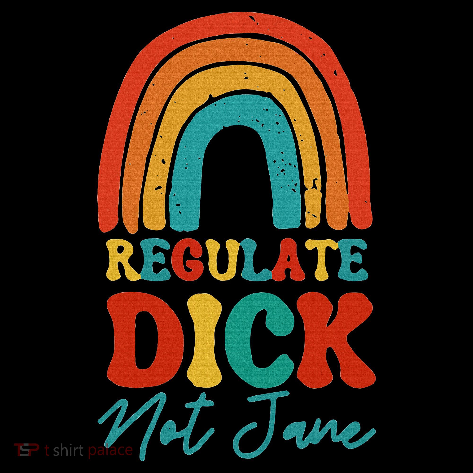 Regulate Dick Not Jane Choice Retro Rainbow Women's Hoodie
