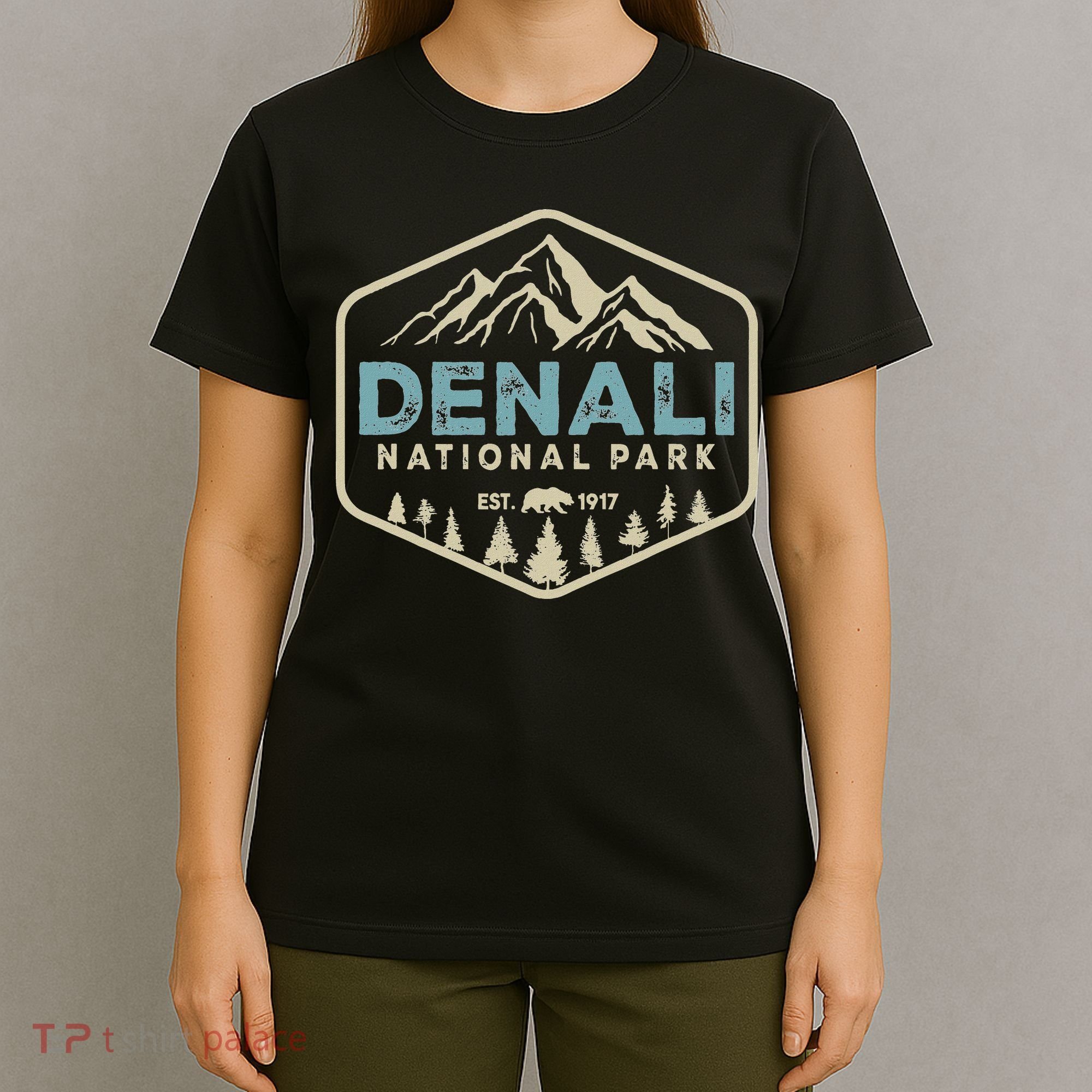 Retro Denali National Park Mountains Nature Vintage Hiking T-Shirt