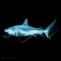Retro Digital Polygon Shark Tank Top thumb 6