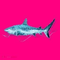Retro Digital Polygon Shark Sweatshirt thumb 3