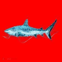 Retro Digital Polygon Shark Santa Hat thumb 1