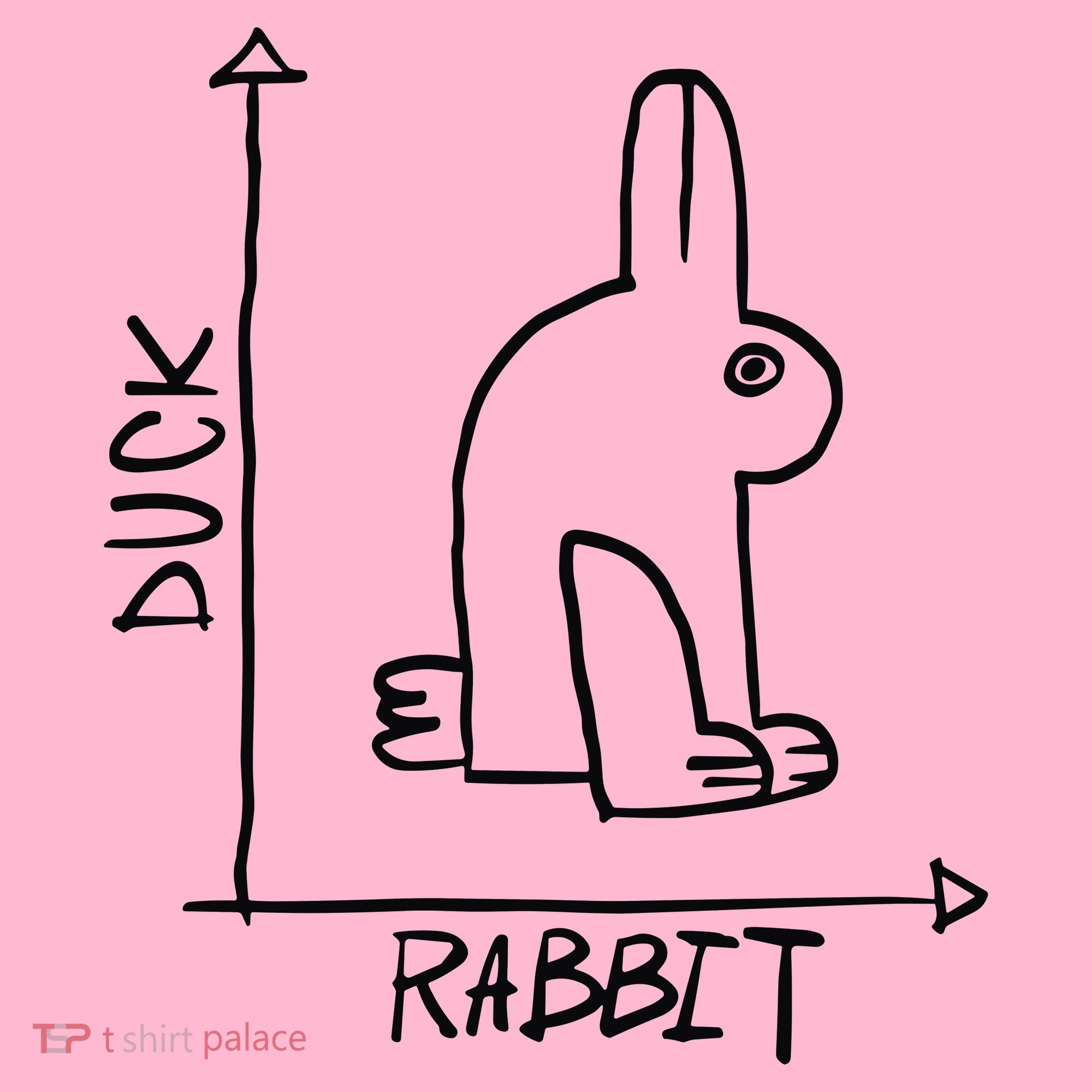 Rabbit Duck Coaster