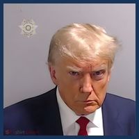 Real Donald Trump Mugshot At Fulton County Sheriffs Office T-Shirt thumb 7