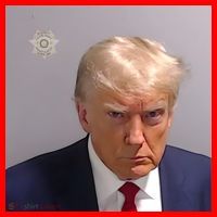 Real Donald Trump Mugshot At Fulton County Sheriffs Office Santa Hat thumb 1